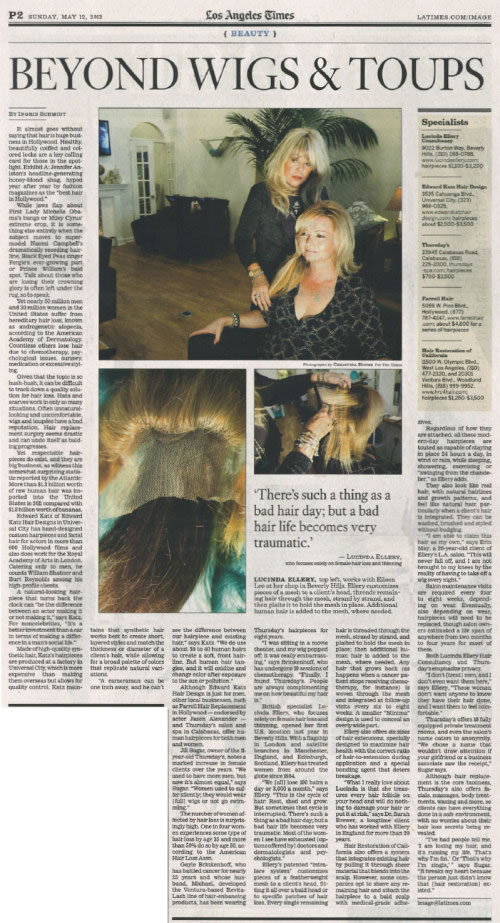 LA Times article