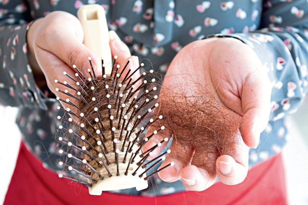 Brush and hair